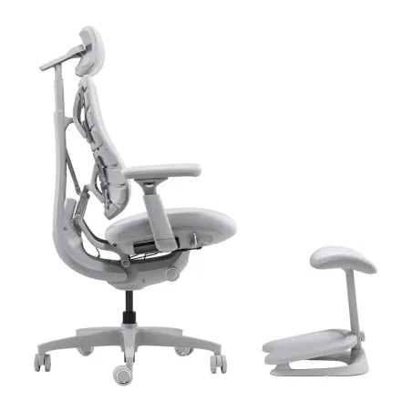 LiberNovo Omni 45 cm Ergonomic Chair (Gray)